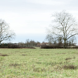 terrain sur le site de la Pomme III - Revel (31)