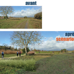 vue perspective de la terrasse de l'Orbiel - Conques sur Orbiel (11)