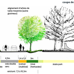 coupe sur voie ré-aménagée - étude de recomposition urbaine à Saint-Hilaire (11)