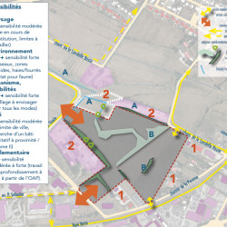 synthèse du diagnostic du site de la Pomme III & IV - Revel (31)