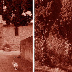 plan-guide de Mas-Saintes-Puelles (11)