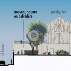 coupe urbaine sur la place - étude de stratégie végétale à Réalmont (81)