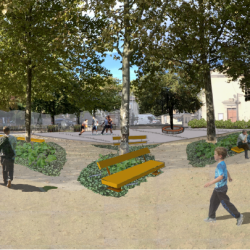 vue 1 - étude de stratégie végétale à Réalmont (81)