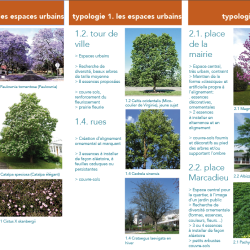palette végétale - étude de requalification des espaces publics arborés à Maubourguet (65)