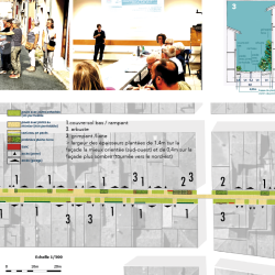ateliers participatifs et esquisse de la rue de la Bertuyé - étude de stratégie végétale à Réalmont (81)