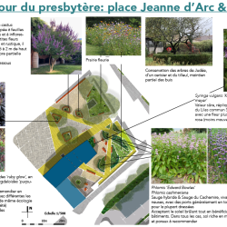 essences plantées 2 sur les places de la bastide - étude de stratégie végétale à Réalmont (81)