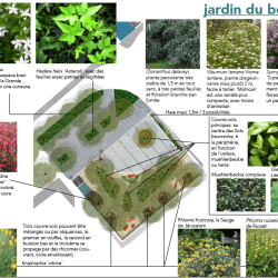 essences plantées 1 sur les places de la bastide - étude de stratégie végétale à Réalmont (81)