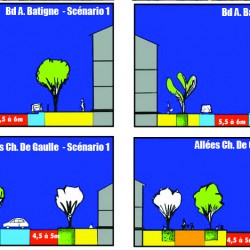 Roquecourbe (81)