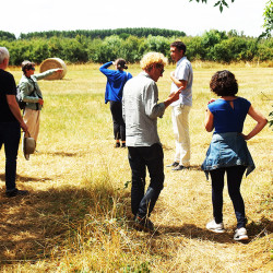 diagnostic en marchant, Bois de la Pierre (31)