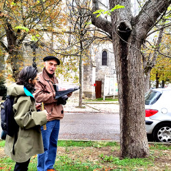 travail de terrain concernant le patrimoine arboré - plan-guide de Saint-Clar (32)